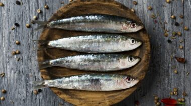 sardines